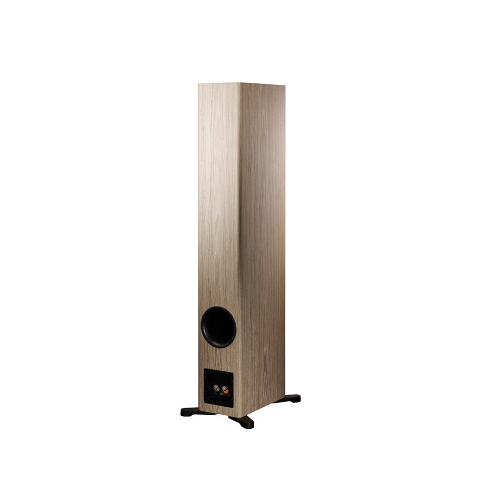 DYNAUDIO-EVOKE-50